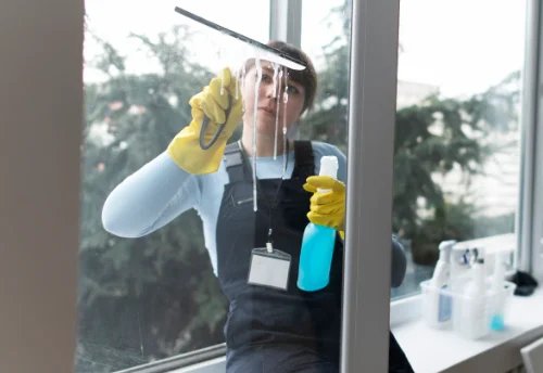 Nettoyage de vitres intérieures et extérieures à Bourgvallées